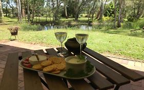 Noosa Lake Weyba